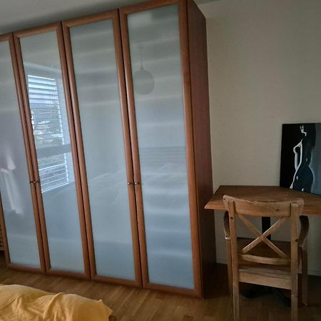 Zimmer In Penthouse-Wohnung Windisch Номер фото