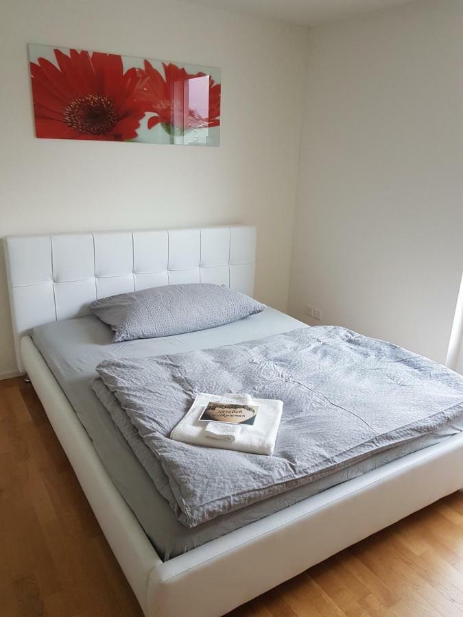 Zimmer In Penthouse-Wohnung Windisch Екстер'єр фото