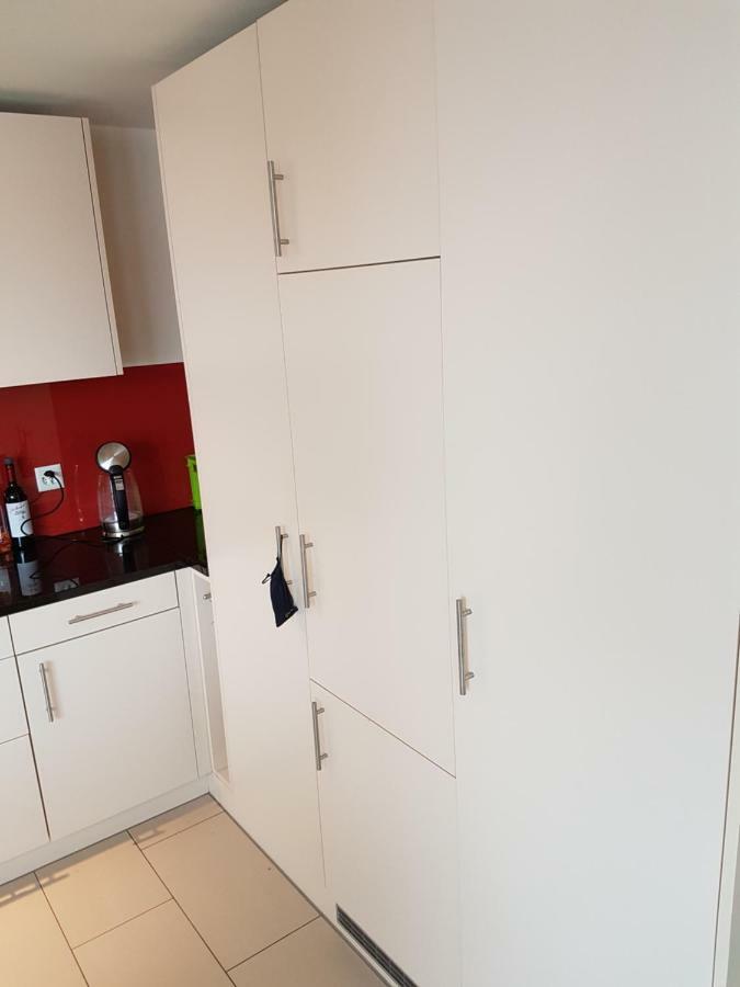 Zimmer In Penthouse-Wohnung Windisch Екстер'єр фото