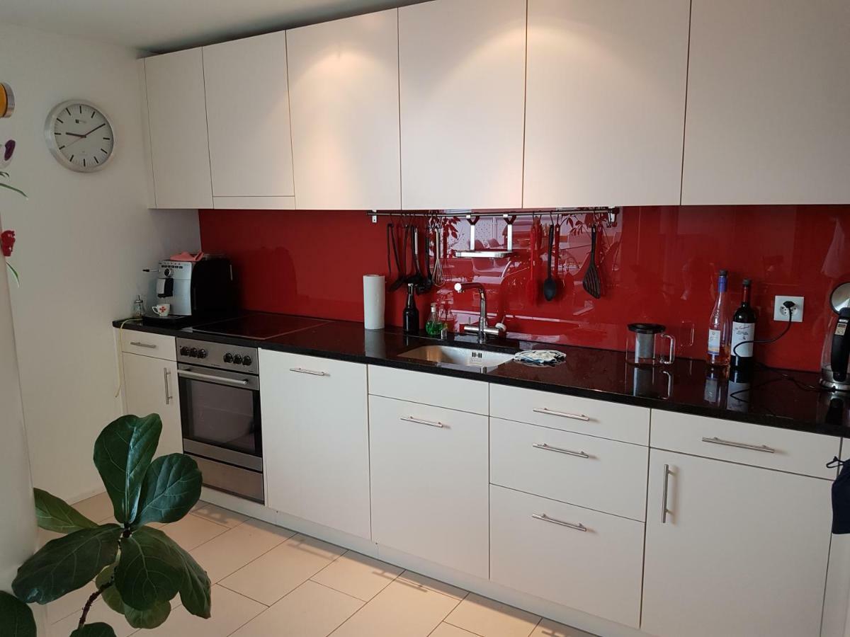 Zimmer In Penthouse-Wohnung Windisch Екстер'єр фото