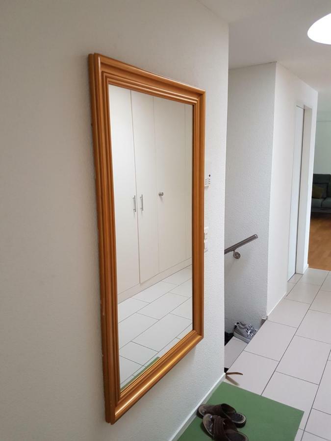 Zimmer In Penthouse-Wohnung Windisch Екстер'єр фото