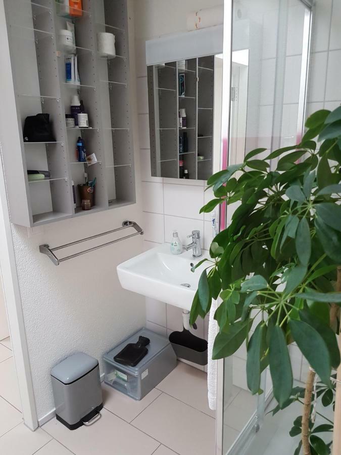 Zimmer In Penthouse-Wohnung Windisch Екстер'єр фото