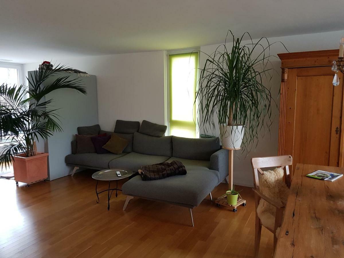 Zimmer In Penthouse-Wohnung Windisch Екстер'єр фото