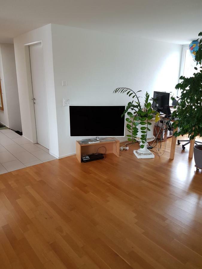 Zimmer In Penthouse-Wohnung Windisch Екстер'єр фото