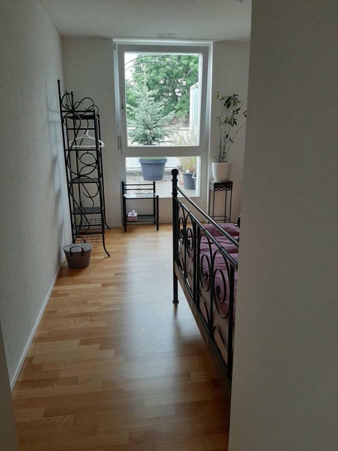 Zimmer In Penthouse-Wohnung Windisch Екстер'єр фото