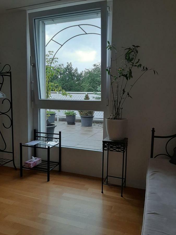 Zimmer In Penthouse-Wohnung Windisch Екстер'єр фото