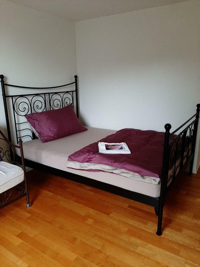 Zimmer In Penthouse-Wohnung Windisch Екстер'єр фото